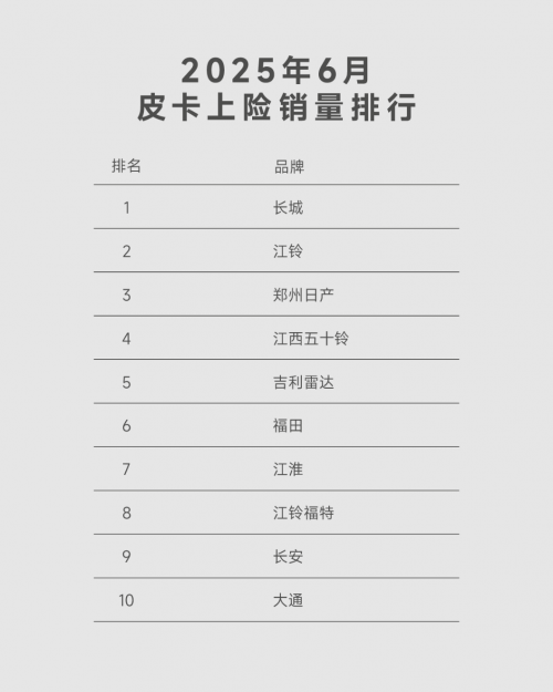 家商两不误 广东车主揭秘吉利雷达皮卡“真香”定律