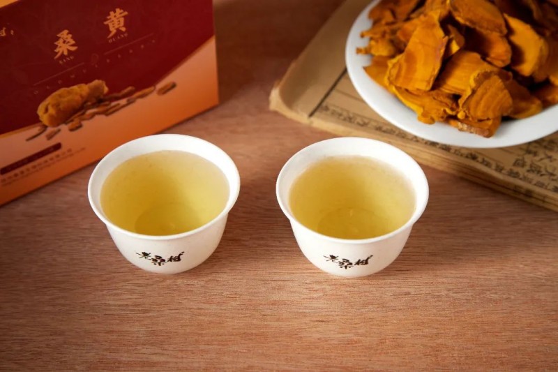 充分发挥中医药防病治病独特优势 桑黄助力健康中国建设