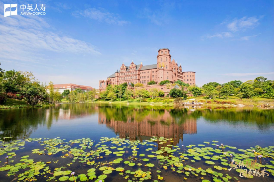 1d7f215fac2a45368c5c938819e9d18f