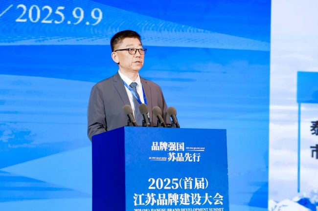 6389310994789495666593739